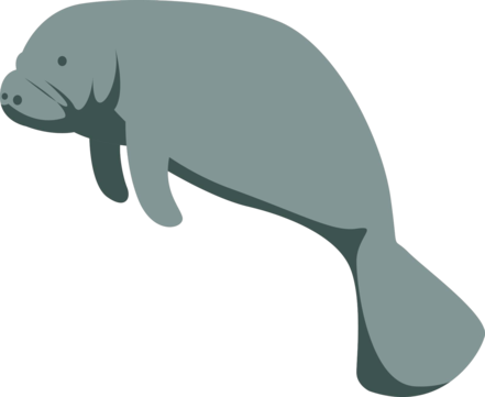 I LOVE MANATEES (image 3 of 3)